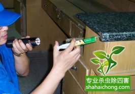 【深圳滅蟑螂公司】全國(guó)除四害標(biāo)準(zhǔn)-怎么樣如何消滅蟑螂